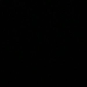 Meet your Posher, Ashlei